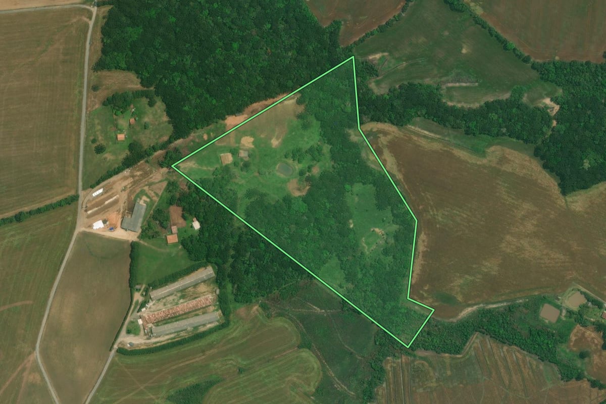 Imagem de satélite do imóvel rural em Lapa (PR), com o contorno declarado no CAR desenhado por cima.