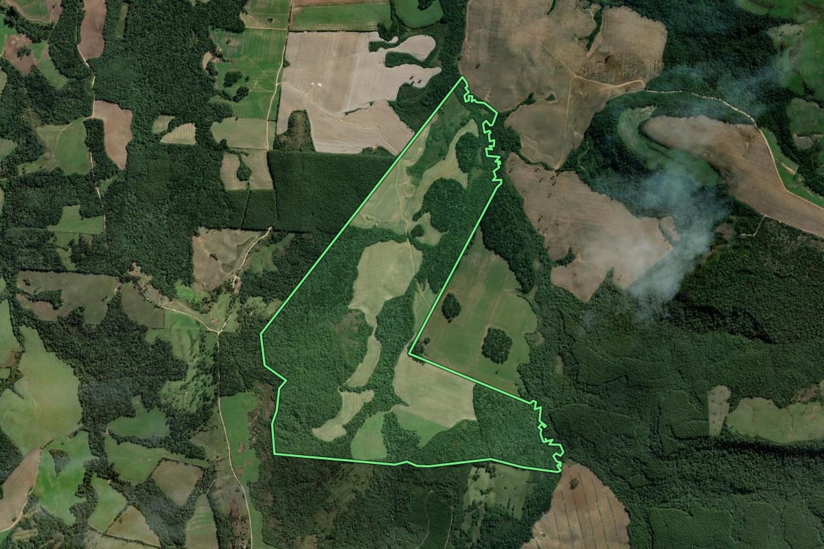 Imagem de satélite do imóvel rural em Lapa (PR), com o contorno declarado no CAR desenhado por cima.