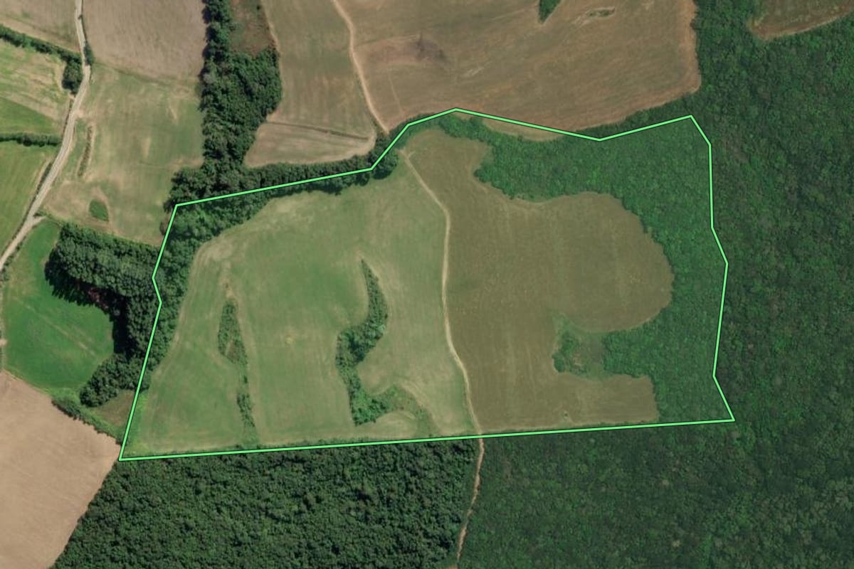 Imagem de satélite do imóvel rural em Lapa (PR), com o contorno declarado no CAR desenhado por cima.
