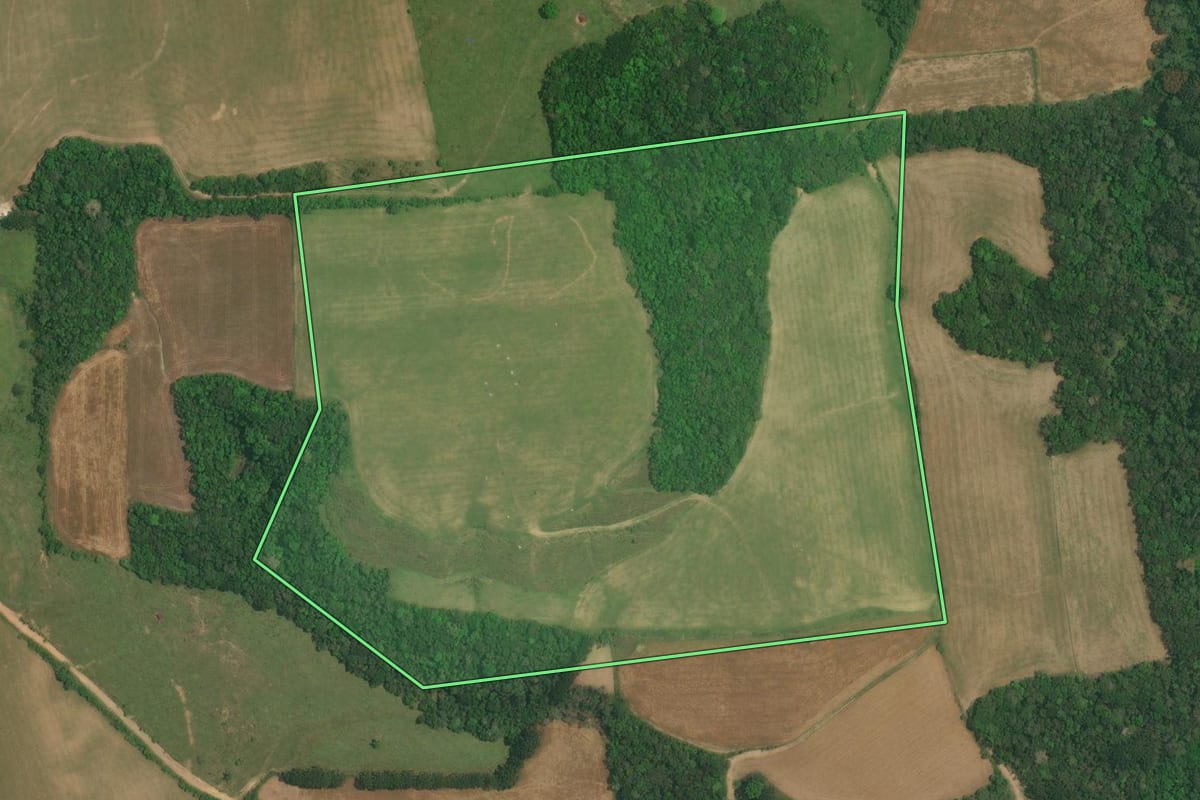 Imagem de satélite do imóvel rural em Lapa (PR), com o contorno declarado no CAR desenhado por cima.