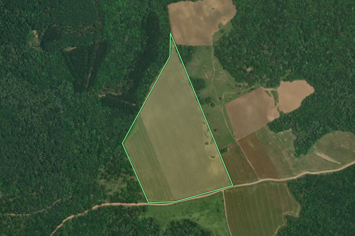 Imagem de satélite do imóvel rural em Lapa (PR), com o contorno declarado no CAR desenhado por cima.