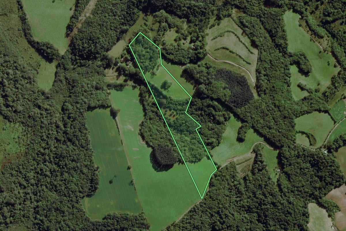 Imagem de satélite do imóvel rural em Lapa (PR), com o contorno declarado no CAR desenhado por cima.