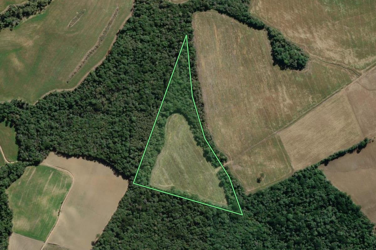 Imagem de satélite do imóvel rural em Lapa (PR), com o contorno declarado no CAR desenhado por cima.