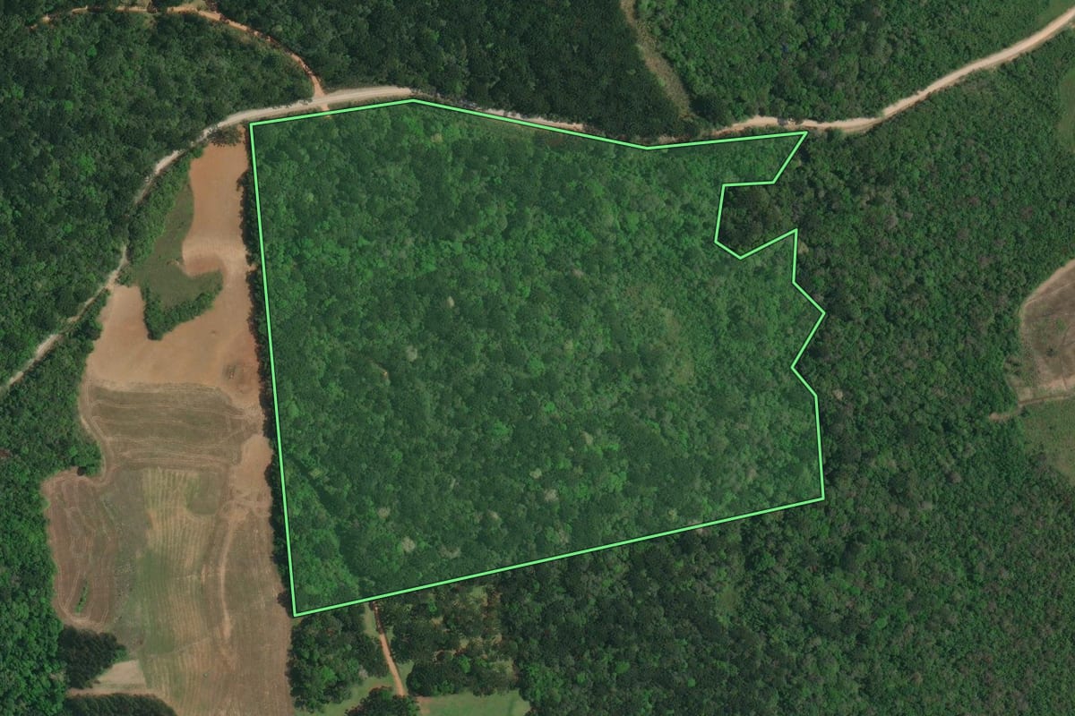 Imagem de satélite do imóvel rural em Lapa (PR), com o contorno declarado no CAR desenhado por cima.
