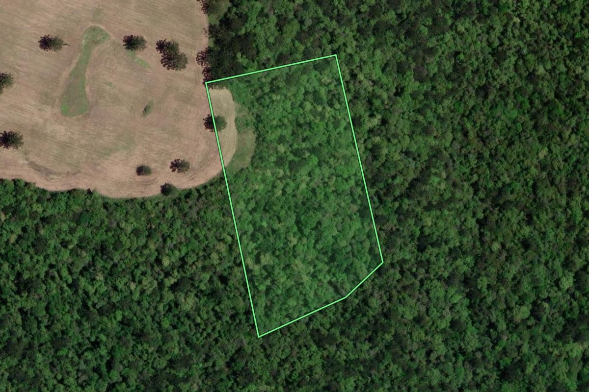 Imagem de satélite do imóvel rural em Lapa (PR), com o contorno declarado no CAR desenhado por cima.