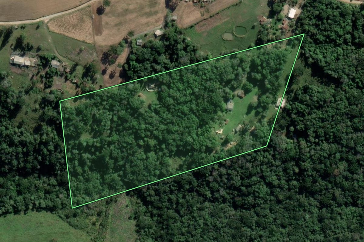Imagem de satélite do imóvel rural em Lapa (PR), com o contorno declarado no CAR desenhado por cima.