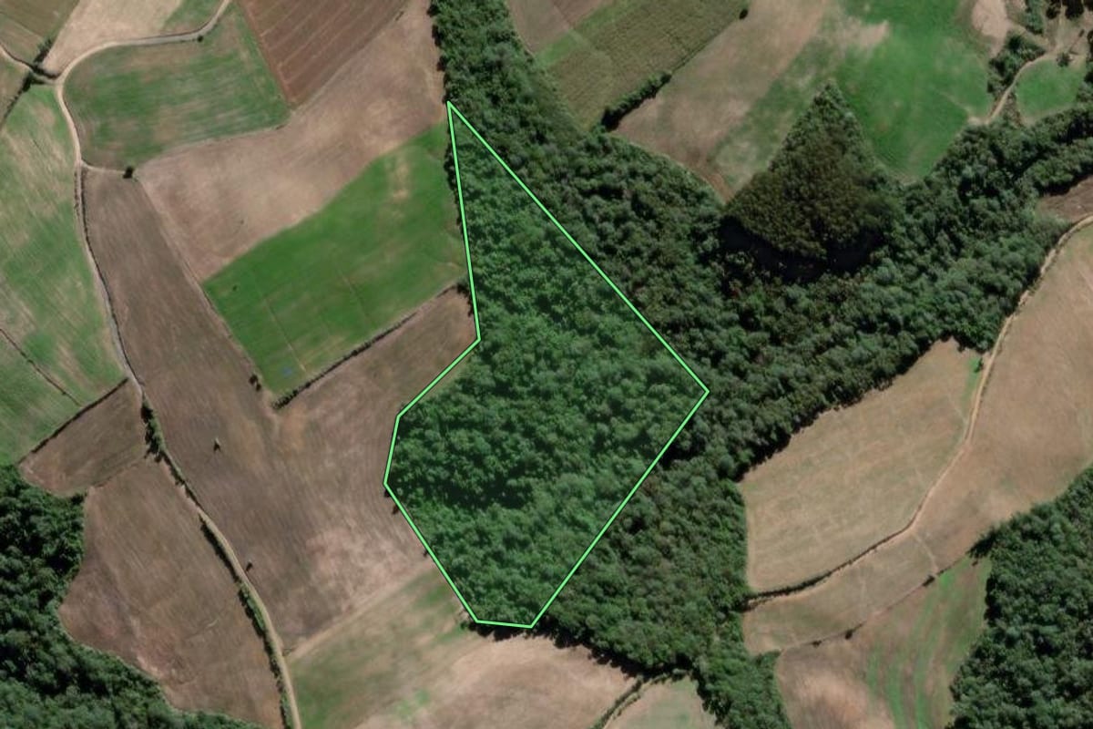Imagem de satélite do imóvel rural em Lapa (PR), com o contorno declarado no CAR desenhado por cima.