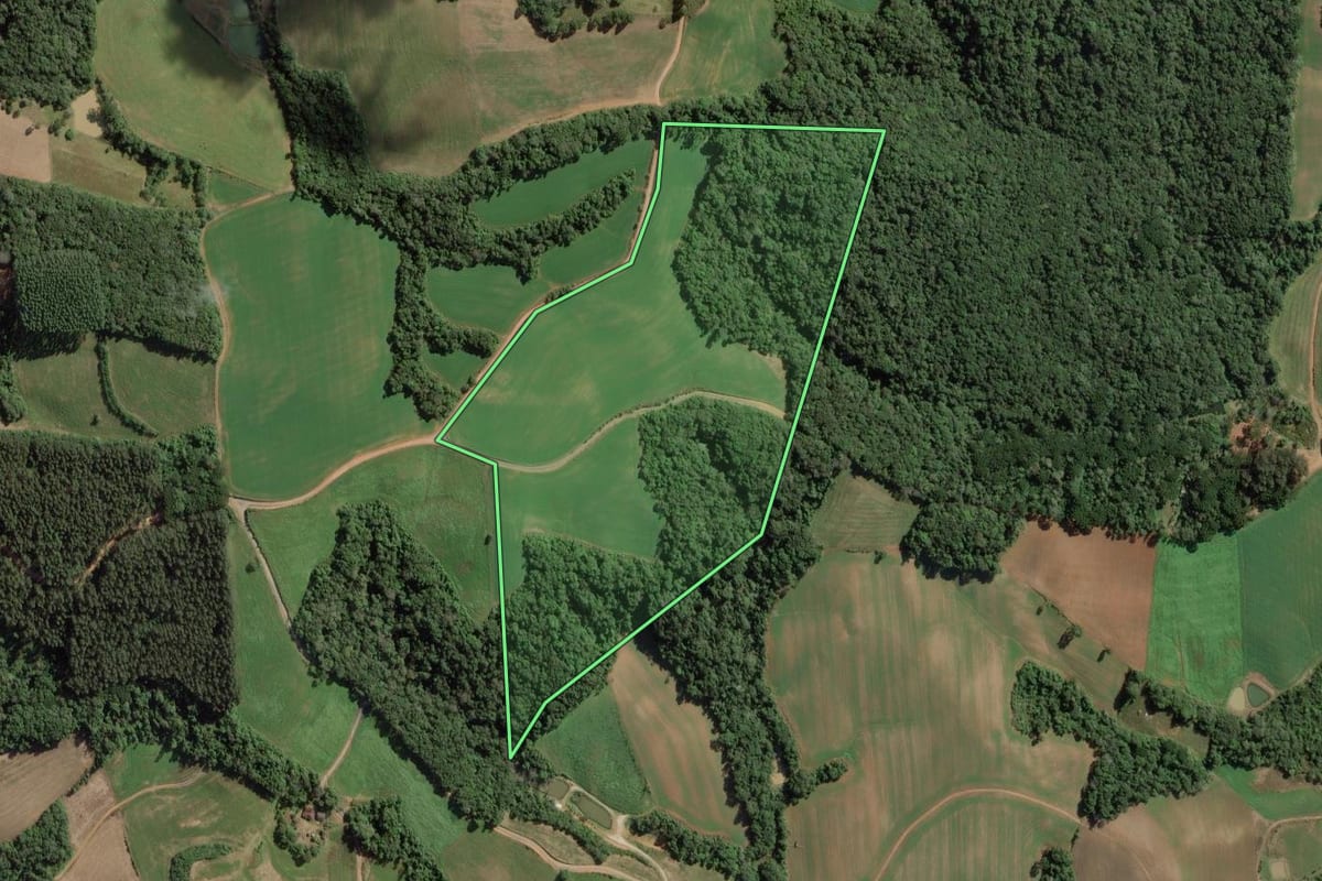 Imagem de satélite do imóvel rural em Lapa (PR), com o contorno declarado no CAR desenhado por cima.