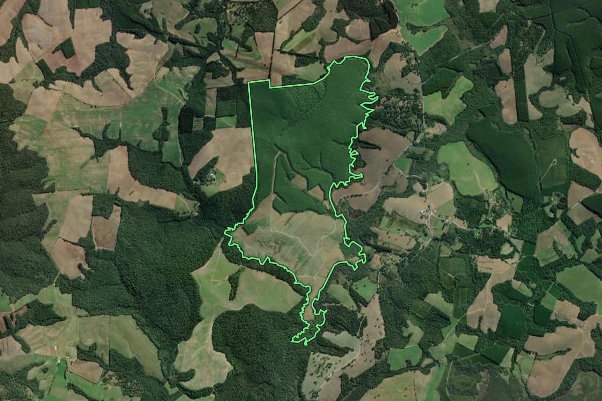 Imagem de satélite do imóvel rural em Lapa (PR), com o contorno declarado no CAR desenhado por cima.