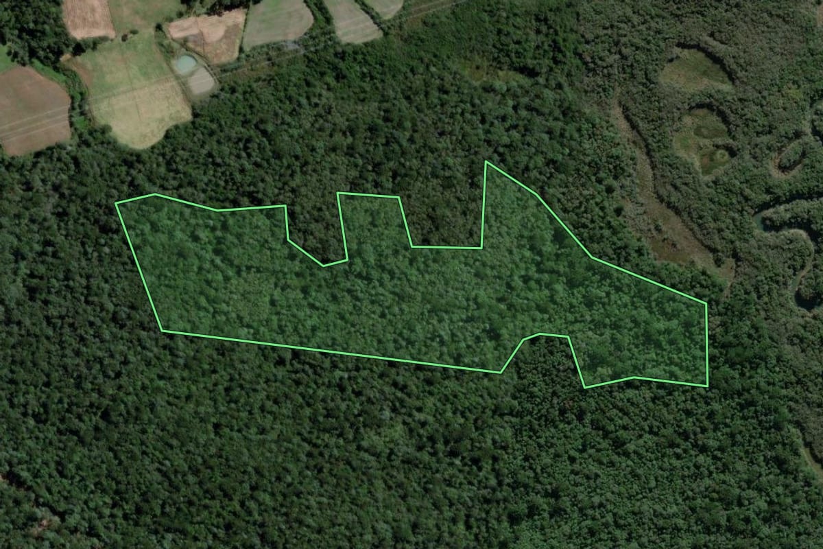 Imagem de satélite do imóvel rural em Lapa (PR), com o contorno declarado no CAR desenhado por cima.