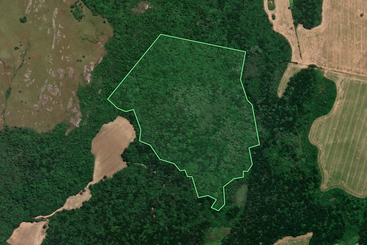 Imagem de satélite do imóvel rural em Lapa (PR), com o contorno declarado no CAR desenhado por cima.
