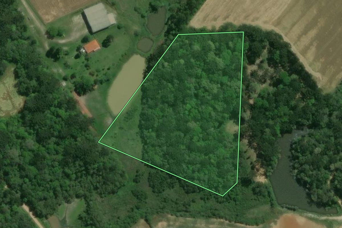Imagem de satélite do imóvel rural em Lapa (PR), com o contorno declarado no CAR desenhado por cima.