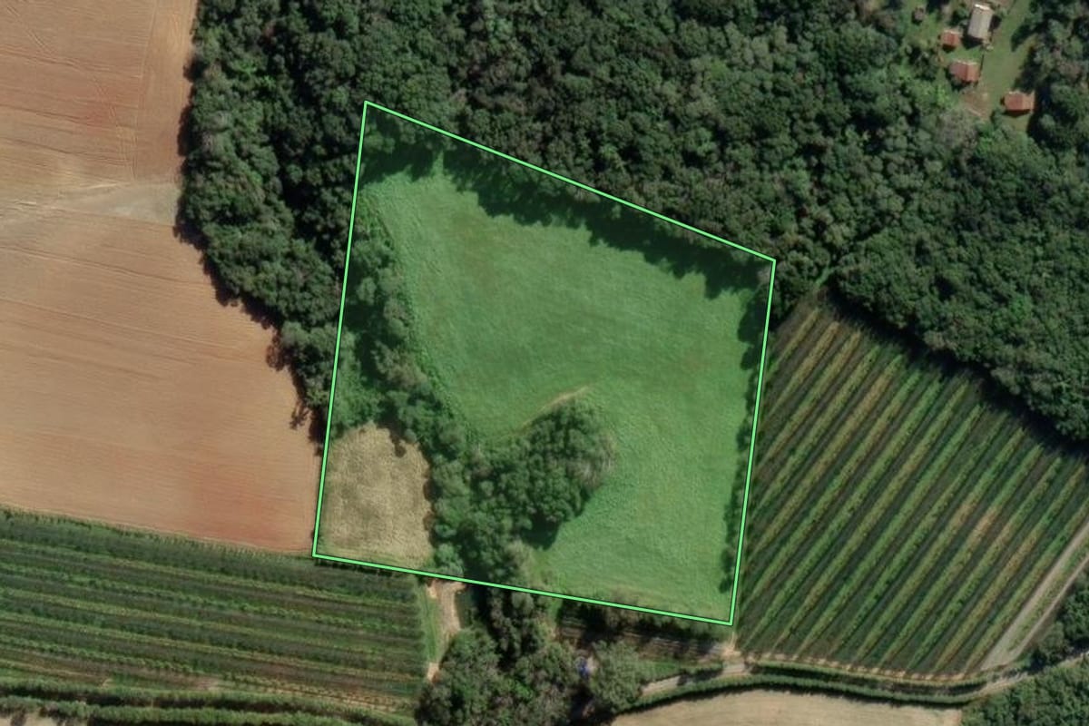 Imagem de satélite do imóvel rural em Lapa (PR), com o contorno declarado no CAR desenhado por cima.