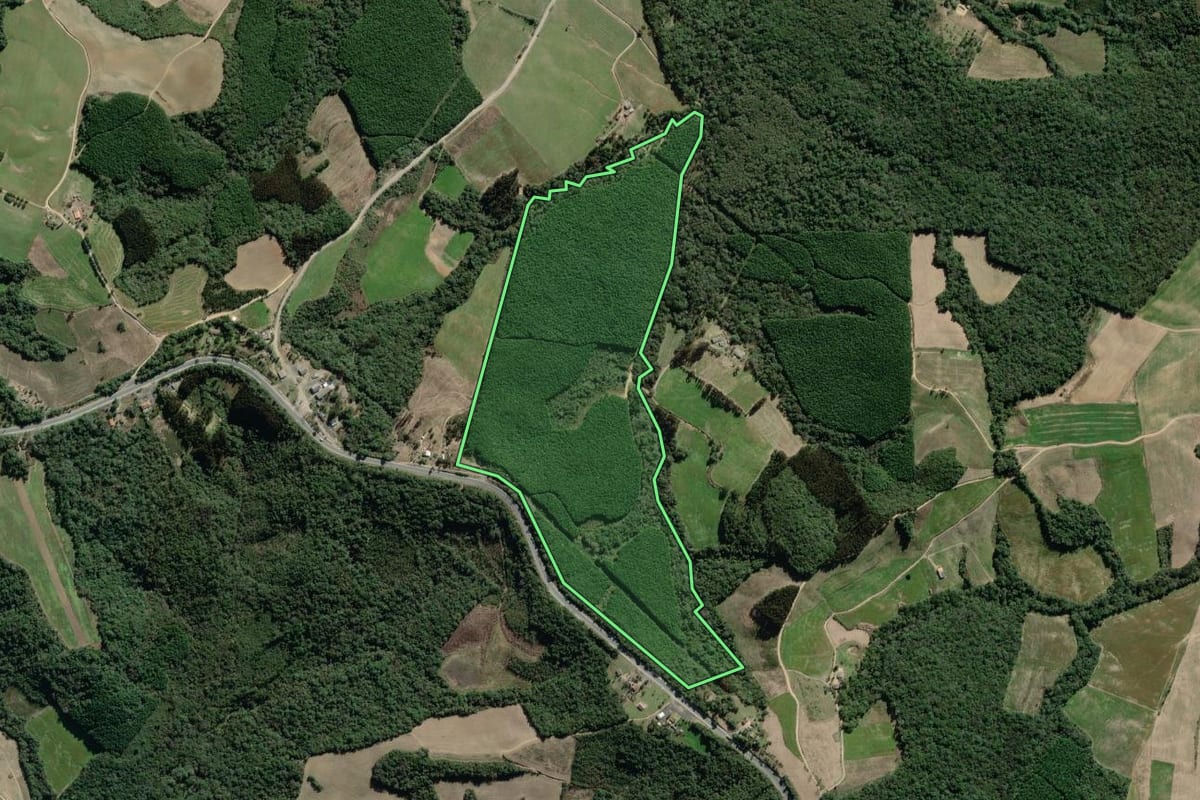 Imagem de satélite do imóvel rural em Lapa (PR), com o contorno declarado no CAR desenhado por cima.