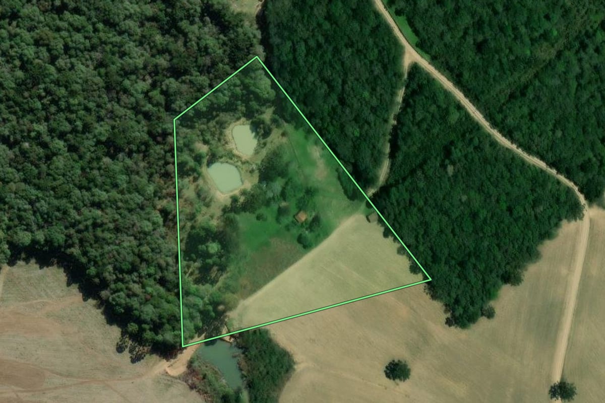Imagem de satélite do imóvel rural em Lapa (PR), com o contorno declarado no CAR desenhado por cima.