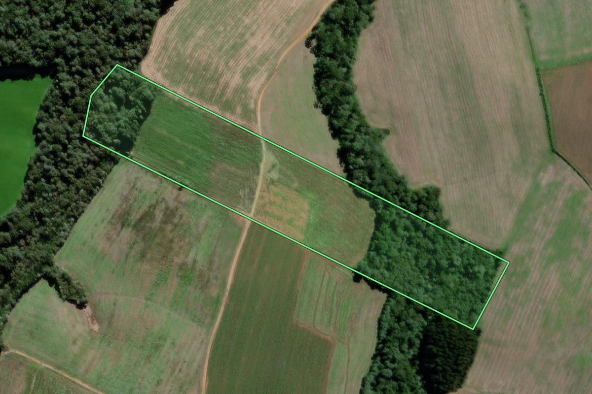 Imagem de satélite do imóvel rural em Lapa (PR), com o contorno declarado no CAR desenhado por cima.