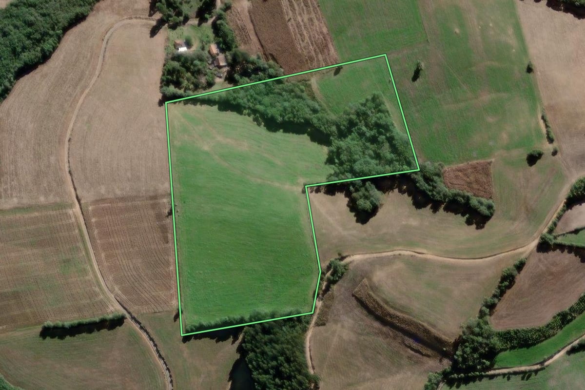 Imagem de satélite do imóvel rural em Lapa (PR), com o contorno declarado no CAR desenhado por cima.