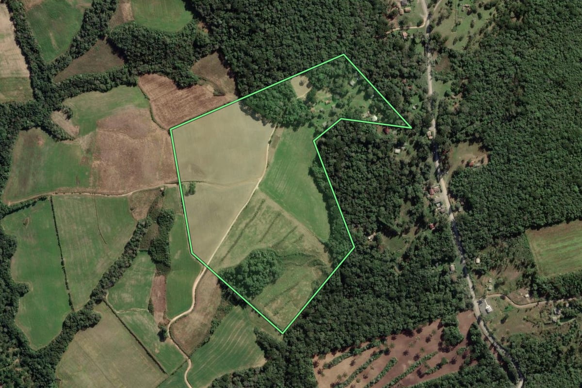Imagem de satélite do imóvel rural em Lapa (PR), com o contorno declarado no CAR desenhado por cima.