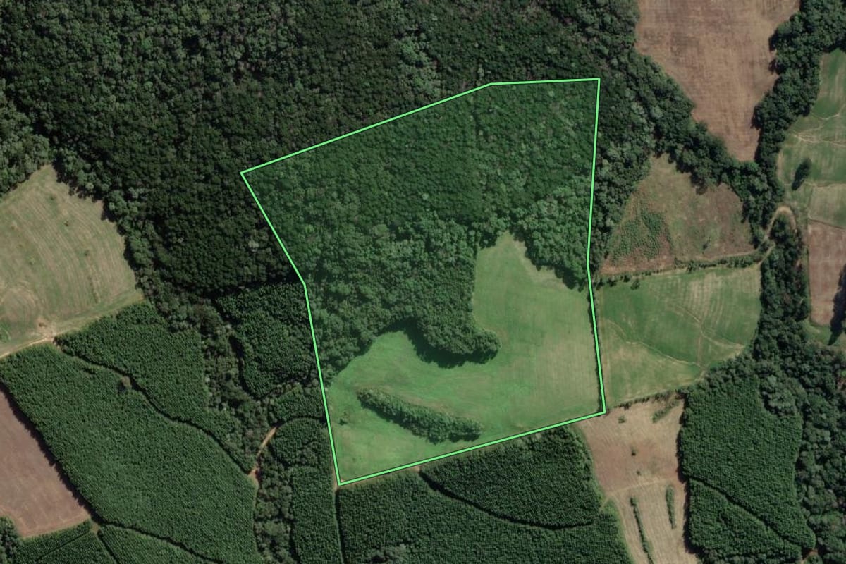 Imagem de satélite do imóvel rural em Lapa (PR), com o contorno declarado no CAR desenhado por cima.