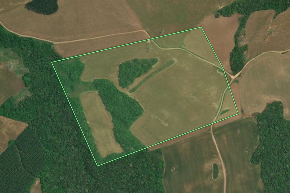 Imagem de satélite do imóvel rural em Lapa (PR), com o contorno declarado no CAR desenhado por cima.