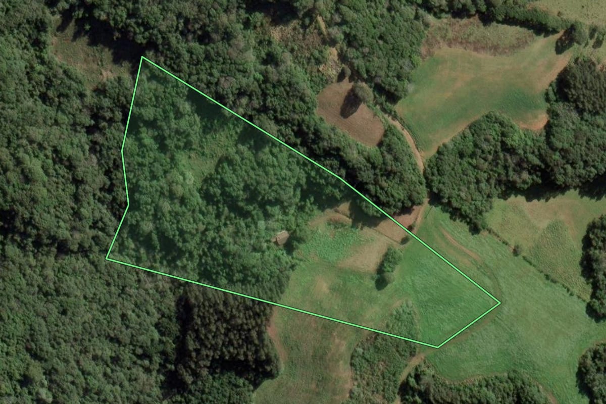 Imagem de satélite do imóvel rural em Lapa (PR), com o contorno declarado no CAR desenhado por cima.