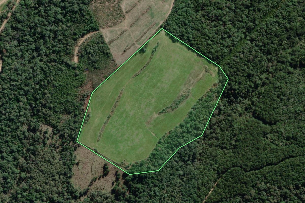 Imagem de satélite do imóvel rural em Lapa (PR), com o contorno declarado no CAR desenhado por cima.