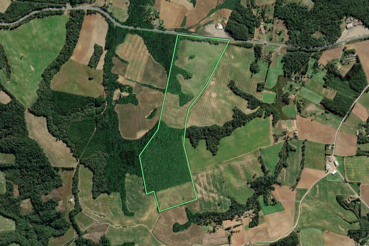 Imagem de satélite do imóvel rural em Lapa (PR), com o contorno declarado no CAR desenhado por cima.