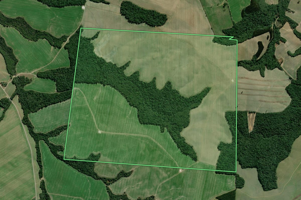Imagem de satélite do imóvel rural em Lapa (PR), com o contorno declarado no CAR desenhado por cima.