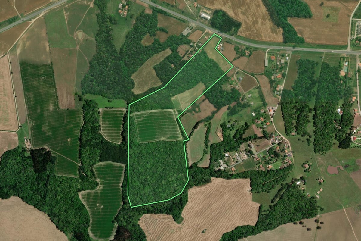 Imagem de satélite do imóvel rural em Lapa (PR), com o contorno declarado no CAR desenhado por cima.