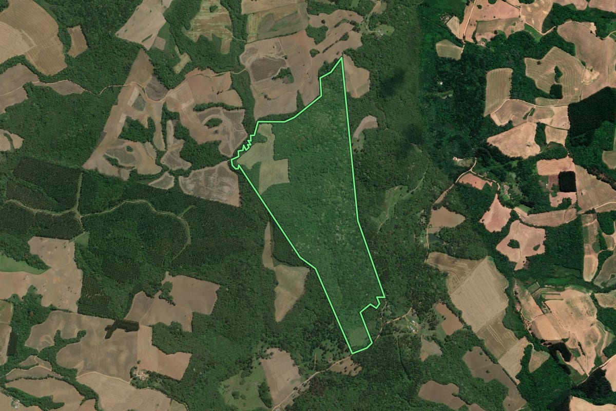 Imagem de satélite do imóvel rural em Lapa (PR), com o contorno declarado no CAR desenhado por cima.