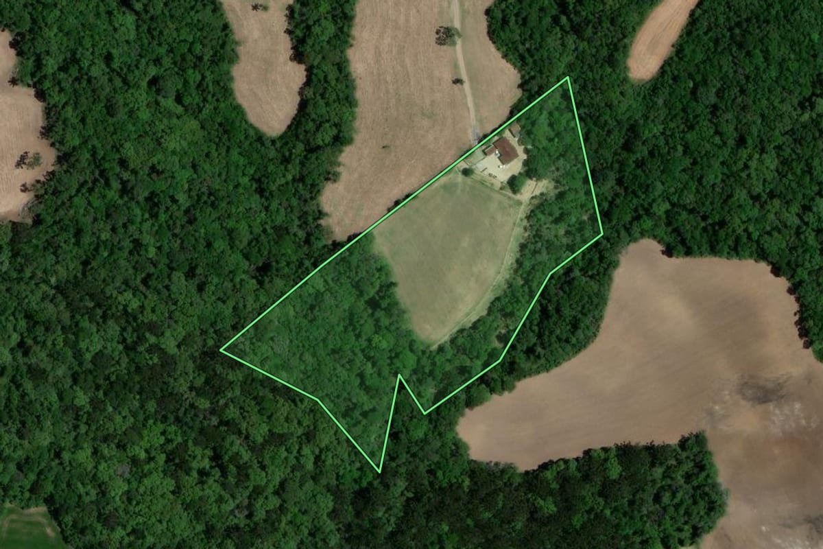 Imagem de satélite do imóvel rural em Lapa (PR), com o contorno declarado no CAR desenhado por cima.