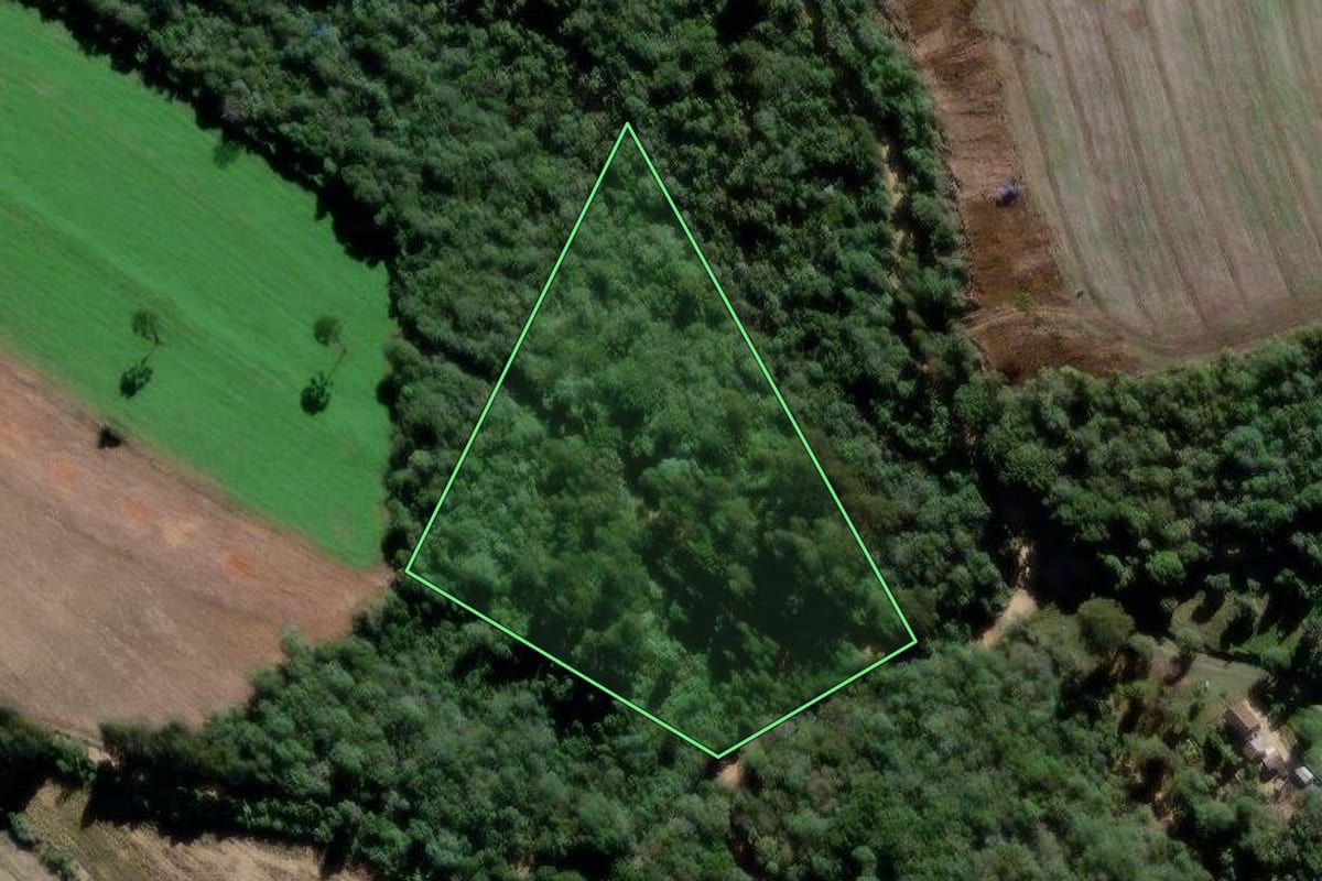 Imagem de satélite do imóvel rural em Lapa (PR), com o contorno declarado no CAR desenhado por cima.
