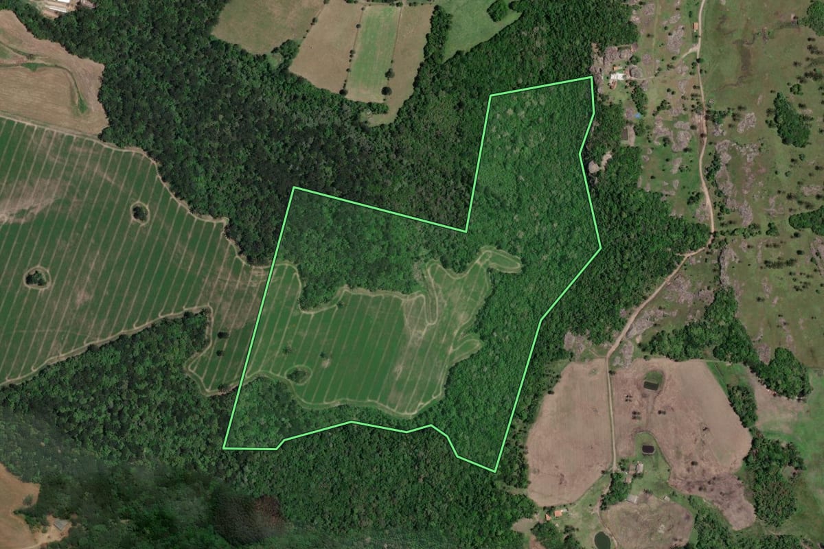 Imagem de satélite do imóvel rural em Lapa (PR), com o contorno declarado no CAR desenhado por cima.