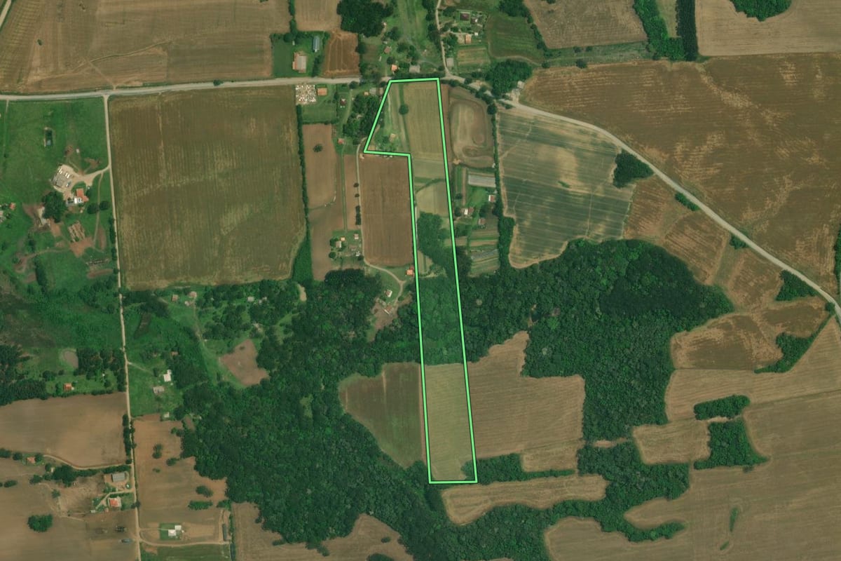 Imagem de satélite do imóvel rural em Lapa (PR), com o contorno declarado no CAR desenhado por cima.