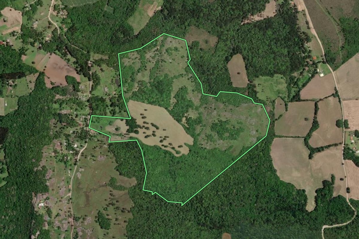 Imagem de satélite do imóvel rural em Lapa (PR), com o contorno declarado no CAR desenhado por cima.