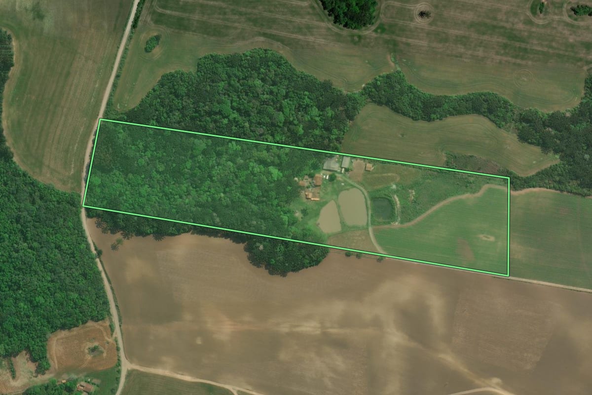 Imagem de satélite do imóvel rural em Lapa (PR), com o contorno declarado no CAR desenhado por cima.