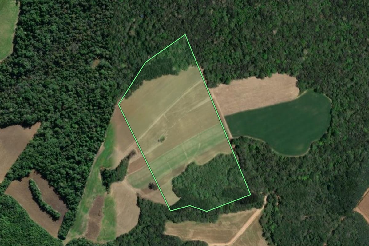 Imagem de satélite do imóvel rural em Lapa (PR), com o contorno declarado no CAR desenhado por cima.