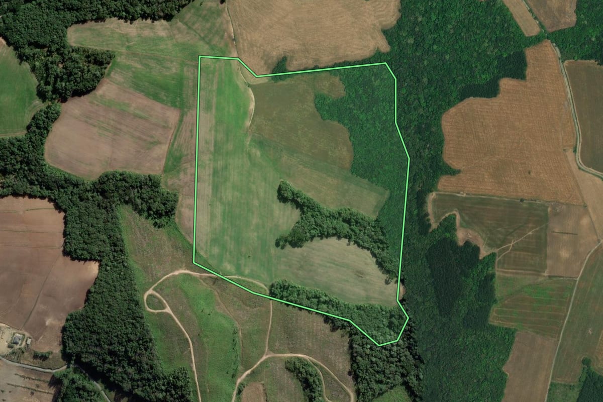 Imagem de satélite do imóvel rural em Lapa (PR), com o contorno declarado no CAR desenhado por cima.
