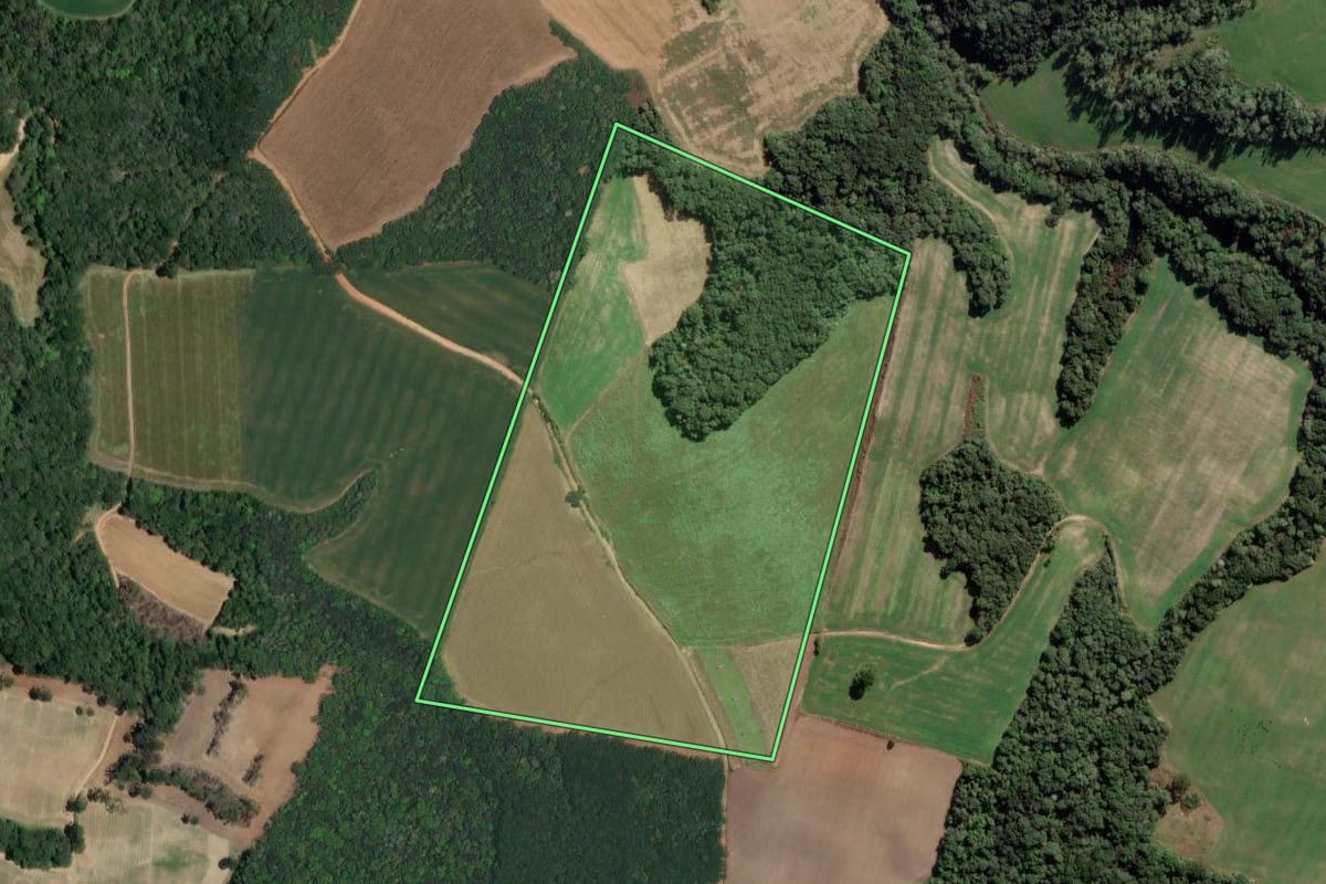 Imagem de satélite do imóvel rural em Lapa (PR), com o contorno declarado no CAR desenhado por cima.