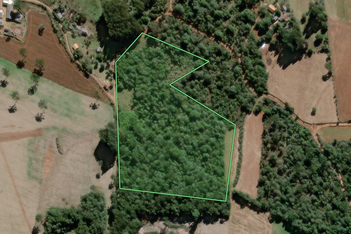 Imagem de satélite do imóvel rural em Lapa (PR), com o contorno declarado no CAR desenhado por cima.