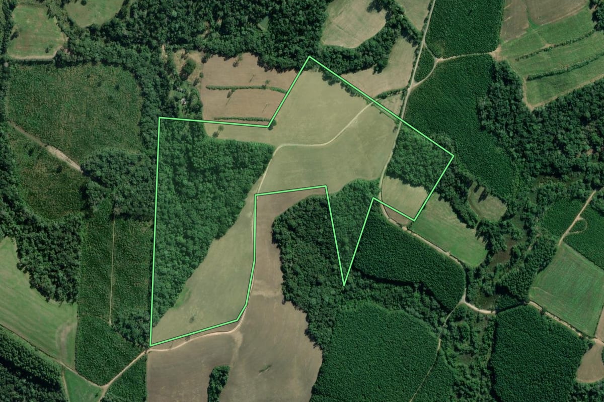 Imagem de satélite do imóvel rural em Lapa (PR), com o contorno declarado no CAR desenhado por cima.