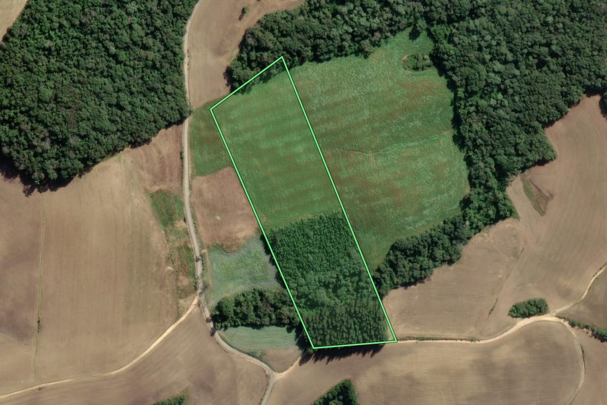Imagem de satélite do imóvel rural em Lapa (PR), com o contorno declarado no CAR desenhado por cima.