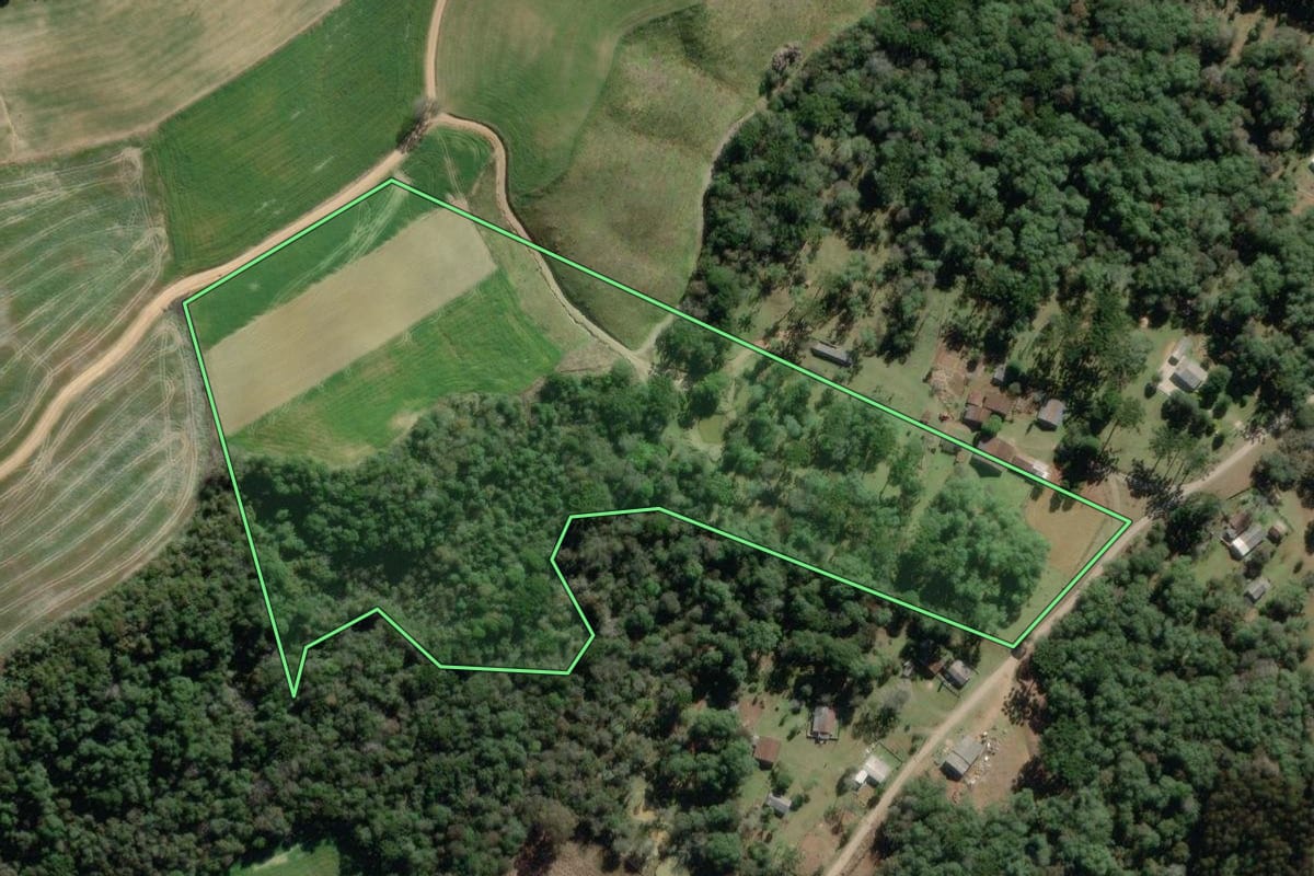 Imagem de satélite do imóvel rural em Lapa (PR), com o contorno declarado no CAR desenhado por cima.