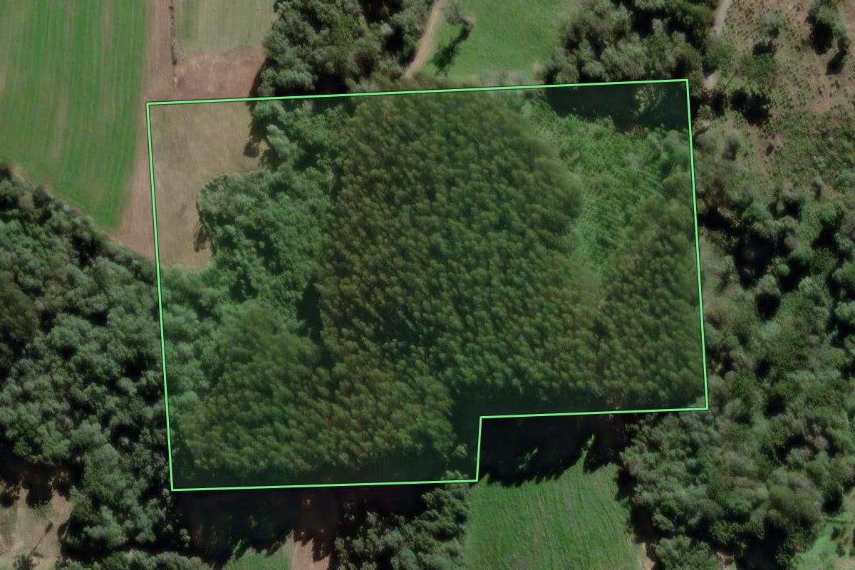 Imagem de satélite do imóvel rural em Lapa (PR), com o contorno declarado no CAR desenhado por cima.
