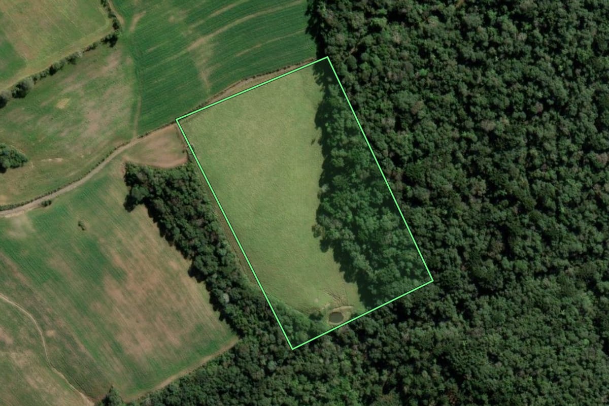 Imagem de satélite do imóvel rural em Lapa (PR), com o contorno declarado no CAR desenhado por cima.