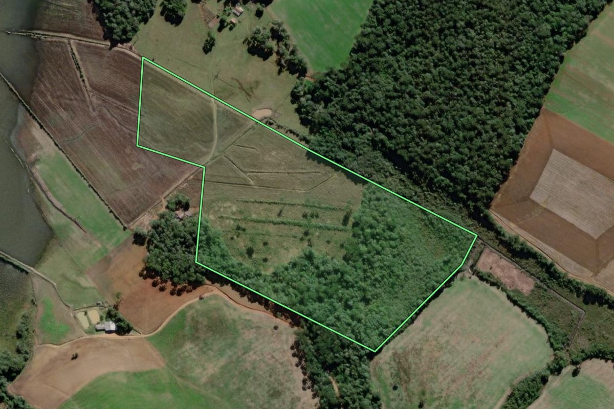 Imagem de satélite do imóvel rural em Lapa (PR), com o contorno declarado no CAR desenhado por cima.