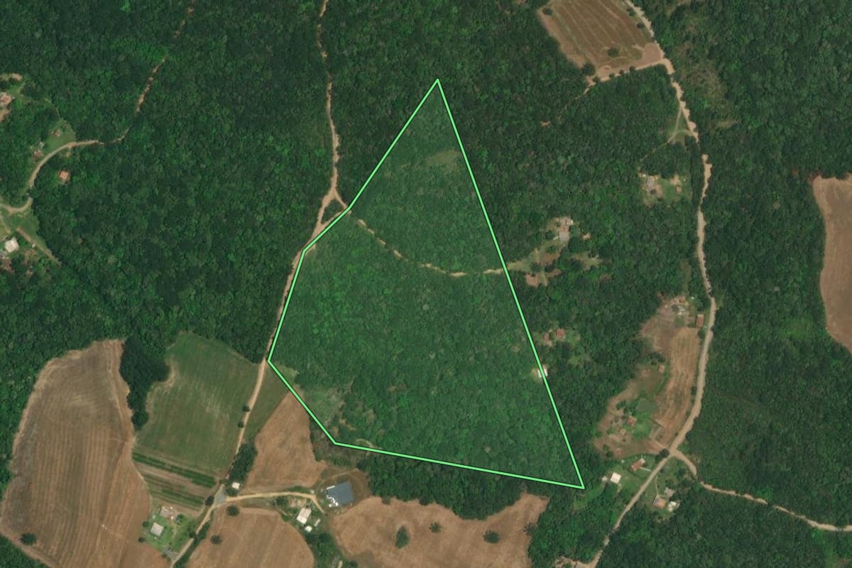 Imagem de satélite do imóvel rural em Lapa (PR), com o contorno declarado no CAR desenhado por cima.