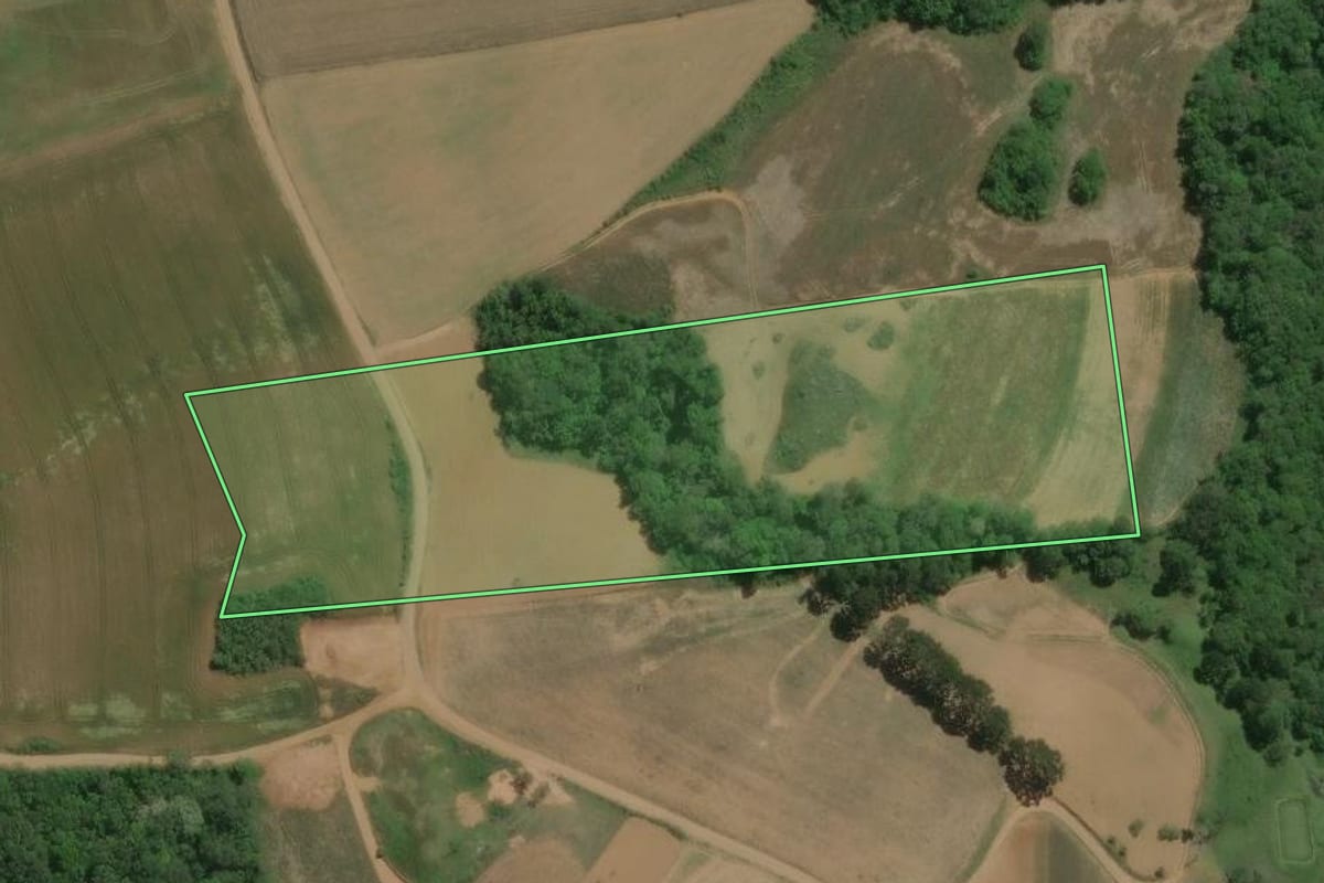 Imagem de satélite do imóvel rural em Lapa (PR), com o contorno declarado no CAR desenhado por cima.