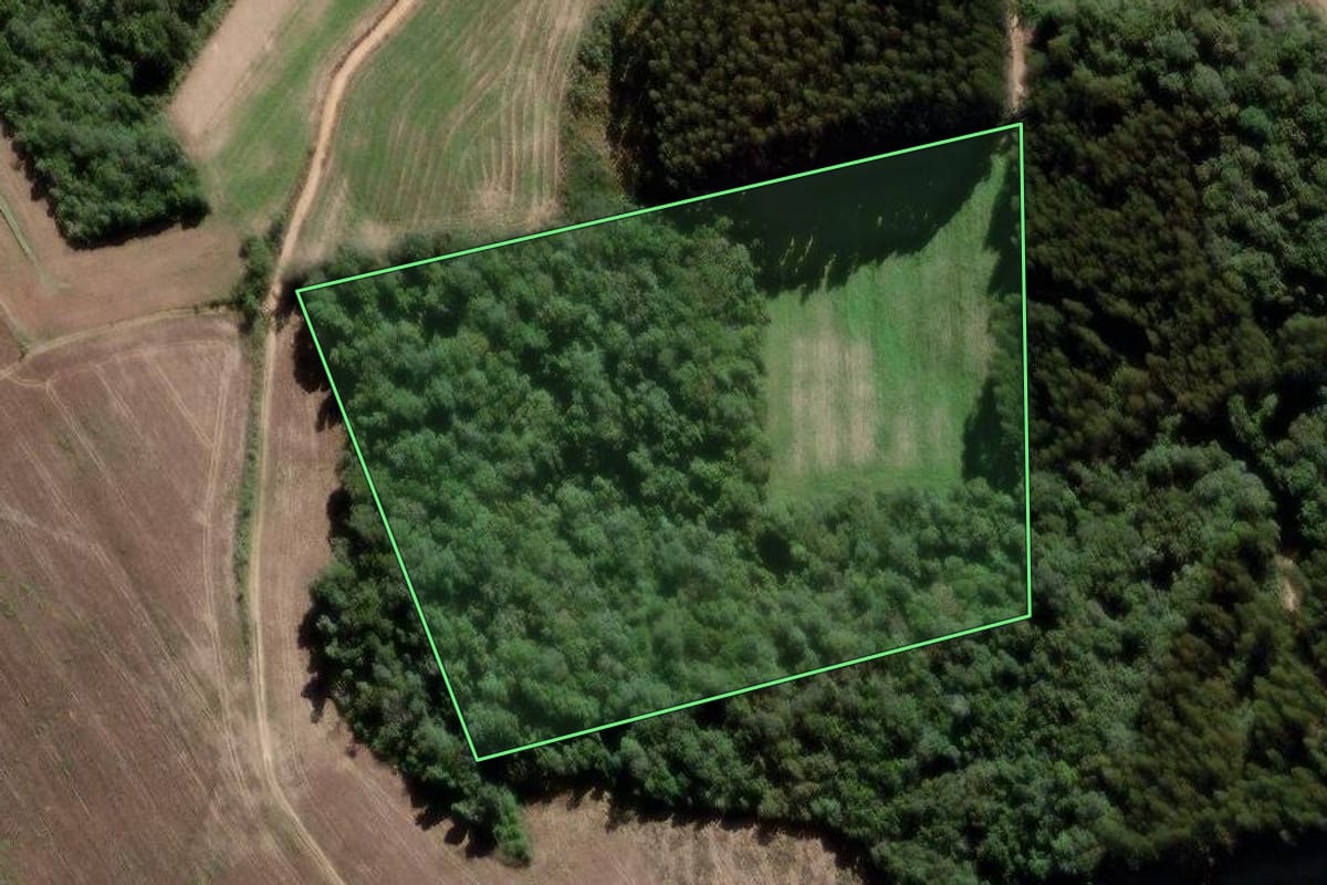 Imagem de satélite do imóvel rural em Lapa (PR), com o contorno declarado no CAR desenhado por cima.