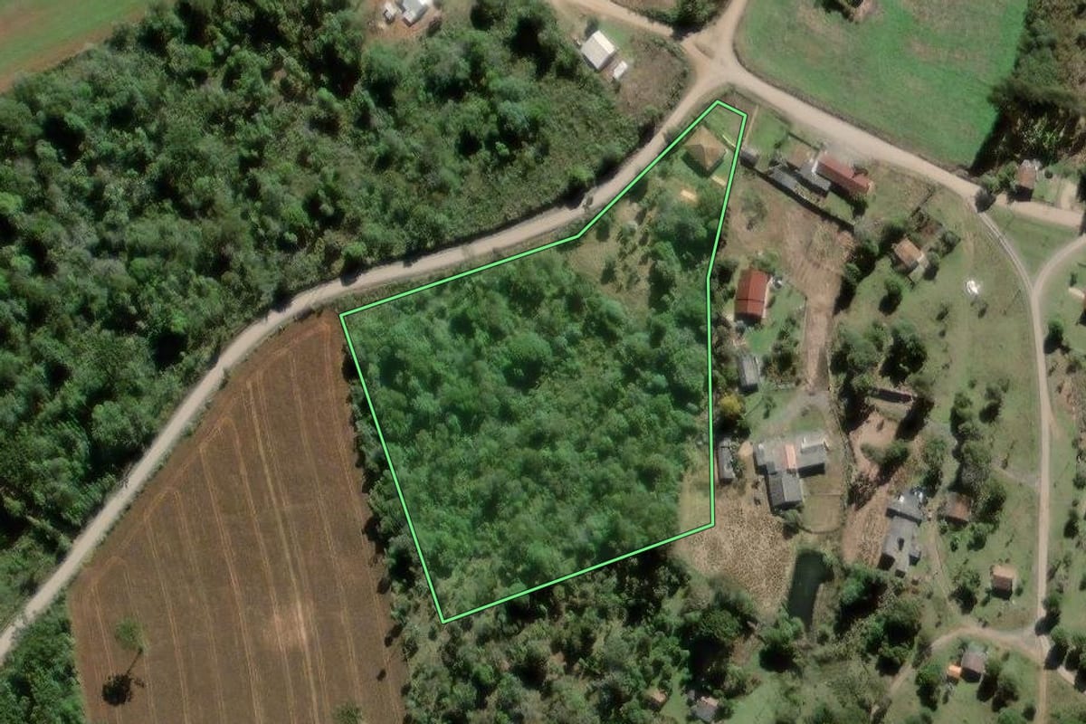 Imagem de satélite do imóvel rural em Lapa (PR), com o contorno declarado no CAR desenhado por cima.